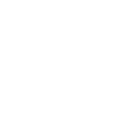 white icon